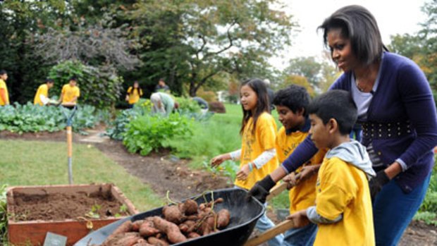 Reaping rewards...students from Washington elementary schools help Michelle Obama in the White House vegetable garden.