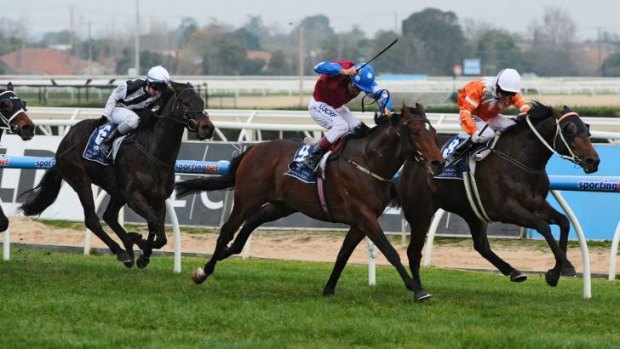 Cup contender: Star Rolling (right) edges out Spillway at Caulfield on Saturday. 