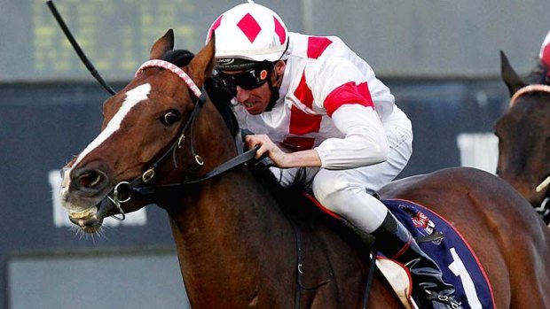 Glencadam Gold will not run in the Lexus Stakes on Saturday, but will go straight into the Melbourne Cup.