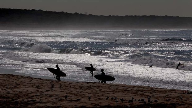Spring in their step: Surfers at Cronulla take advantage of the balmy conditions.
