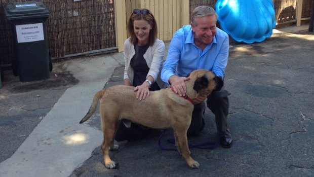 In no way as sick a dog: Colin Barnett says rumours of illness are merely a move by opponents to discredit him.