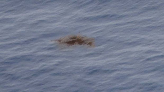 Seaweed is pictured floating in the southern Indian Ocean seen from a Royal New Zealand Air Force P-3K2 Orion aircraft searching for missing Malaysian Airlines flight MH370 on Saturday.