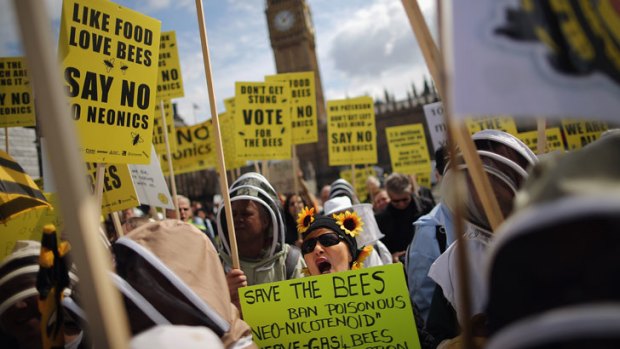 On April 26, protesters including designers Dame Vivienne Westwood and Katharine Hamnett gathered in London's Parliament Square to urge the government to not block EU proposals to suspend the use of bee killing pesticides.