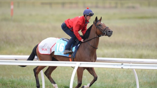 English galloper Fastnet Tempest looks a strong chance in the 3AW Trophy.