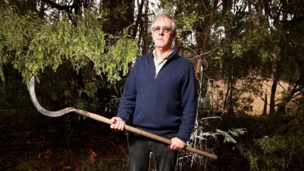 Slash and burn: Don Watson with his deadly fern hook.