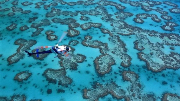 UNESCO will make a decision on the Great Barrier Reef in February.