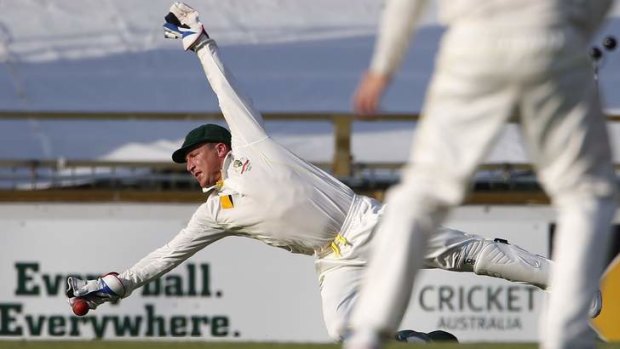 Australian wicketkeeper Brad Haddin can play in the next Ashes series, according to former keeper Ian Healy.