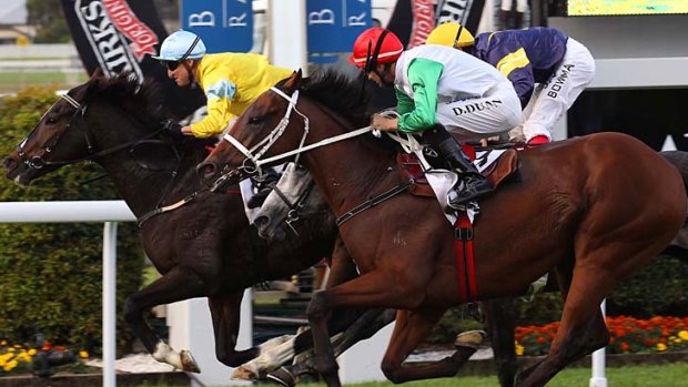 On target: Scenic Shot (rails) holds off My Kingdom Of Fife and Glass Harmonium in the Doomben Cup.