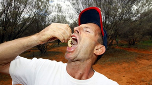 Grub's up ... Mr Abbott enjoys a witchetty grub.