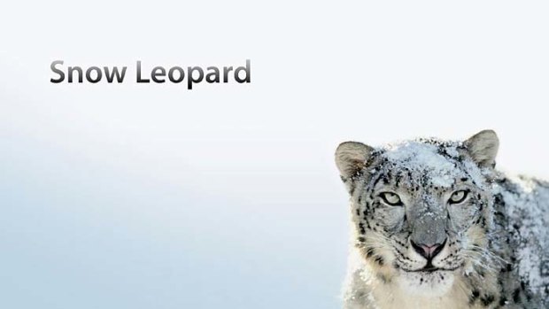 Copyright claim ... marketing material for Apple's Snow Leopard operating system.