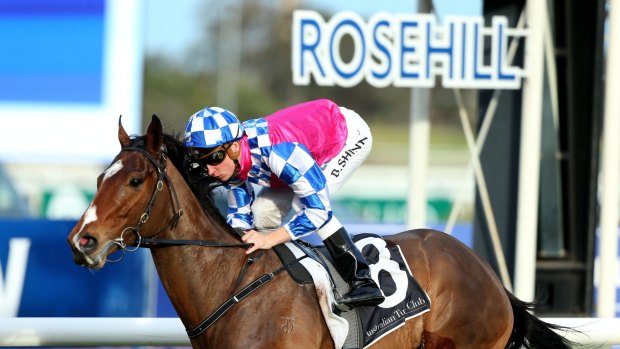Odds on: Victory Stakes favourite Fell Swoop scores at Rosehill in August.