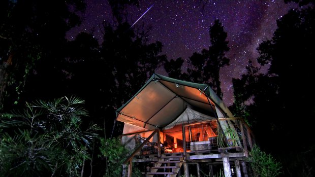 Close to nature: Paperbark Camp deluxe tent at night.