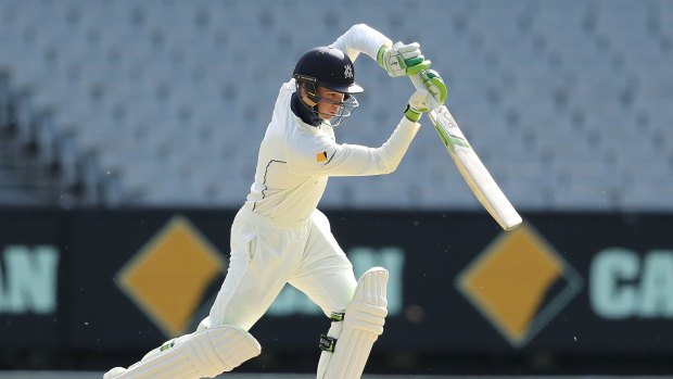 The future: Peter Handscomb in action for Victoria.