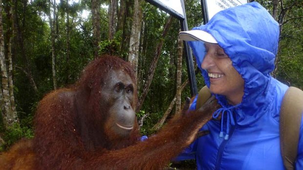 Eva Kajtar's encounter with an orang-utan.