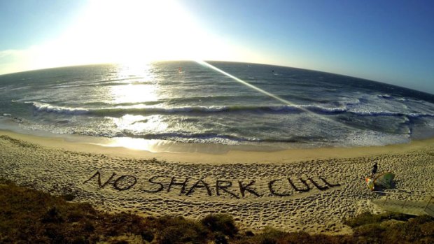 An anti-shark cull message left by protesters on a Perth beach.
