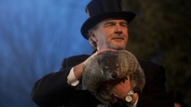 Groundhog co-handler John Griffiths holds up groundhog Punxsutawney Phil after Phil's annual weather prediction.