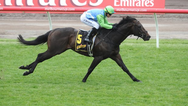 African Pulse's trainer is eyeing the early spring sprints, with an eye to restoring the galloper's form on the track.