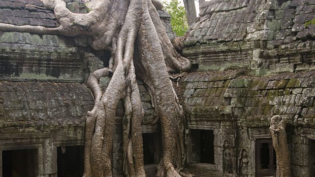 Amazing Angkor ... the battle between forest and stone at Ta Prohm.