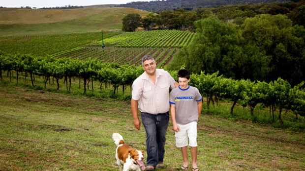 No choice but to sell wine at below cost: Vince Littore with son Liam in a vineyard of Littore Family Wines, main suppliers to Coles supermarkets.