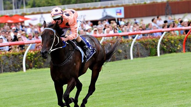The queen ... Luke Nolen and Black Caviar street the field in the Lightning Stakes at Flemington.