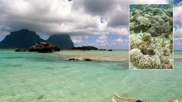 Trouble in paradise...Dean Hiscox snorkels in the lagoon at Lord Howe Island, where he began noticing strange occurences in the water this summer.