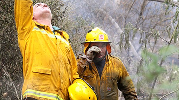 Firefighters work in the bush on the road to Kinglake.