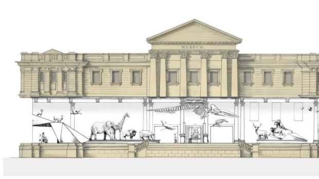 Artist's impression of the Wild Planet Gallery at the Australian Museum.