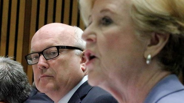 George Brandis and Gillian Triggs at the Senate estimates hearing on Tuesday.