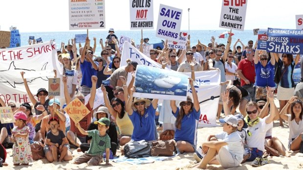 Protesters took to the beach in their thousands against the controversial drum lines