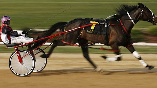 Panella hopes outsiders will be jewels in Crown
