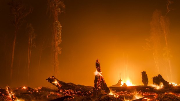 Last year, Indonesia's annual fire season was made worse by the El Nino-linked drought.