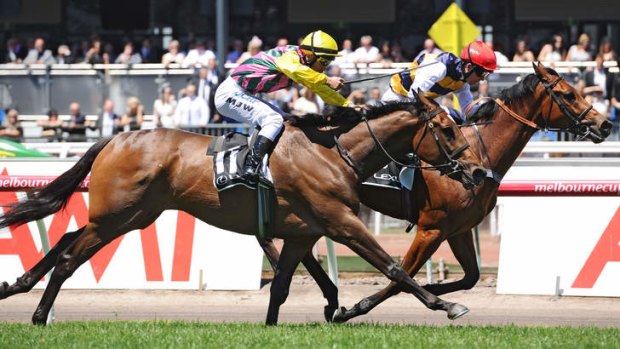 Whipped by the officials: Michael Walker (yellow cap) riding Let's Make Adeal in Race 3 of the Lexus Stakes during Derby Day at Flemington Racecourse.