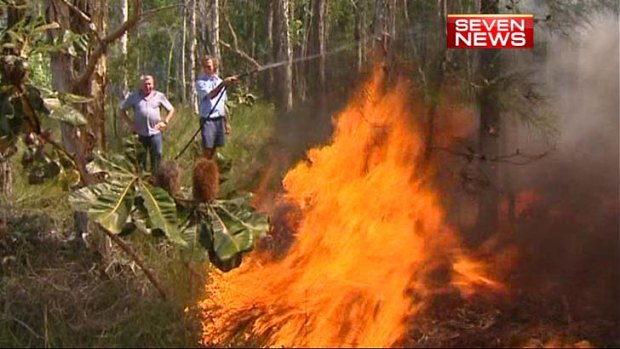 Fireworks sparked a bushfire which prompted the evacuation of homes yesterday.