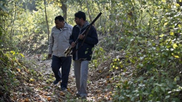 Tiger hunt: Indian forestry workers look for paw prints in the forest.