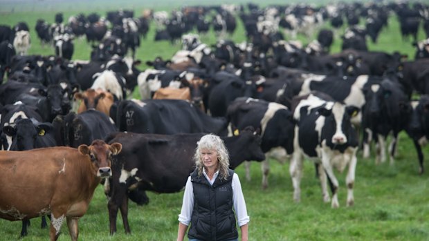 Dairy farmer Kate Lamb described Murray Goulburn's milk price cut as ''a kick in the guts''.