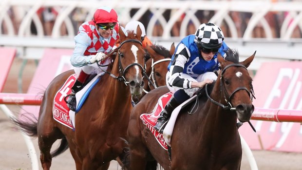 Overshadowed: Protectionist's win in the 2014 Melbourne Cup was overshadowed by the death of two horses in the race. 