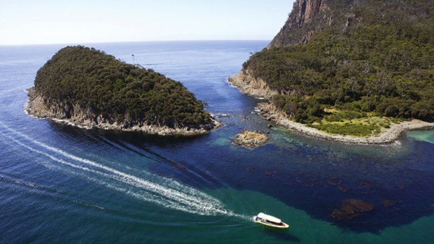 Home grown ... Bruny Island.