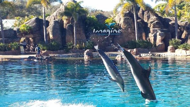 Sea World has undergone an upgrade of its rooms, and remains a family favourite.