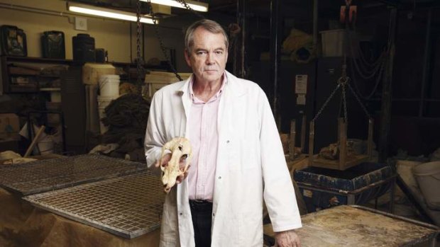 Living for the past … Professor Mike Archer with a thylacine skull.