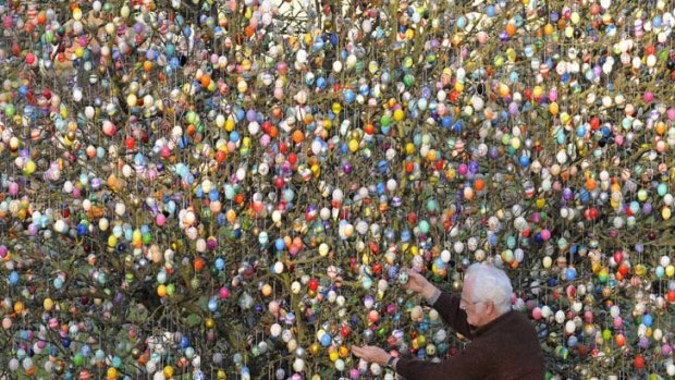 Hunt is on &#8230; an elderly man hangs Easter eggs on a tree in in Saalfeld, Germany.
