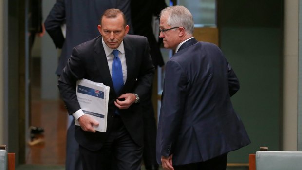 Tony Abbott would have lost his Sydney seat had Malcolm Turnbull not intervened.