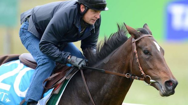 Verema with jockey Jonathan Fleutot on Thursday, October 31.