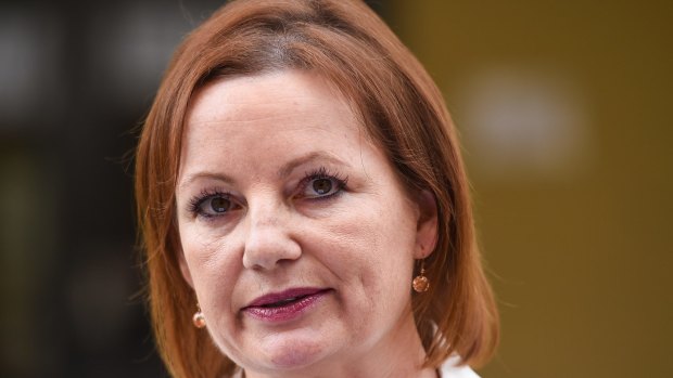 Sussan Ley, under fire for her use of travel allowances, has certified all her entitlements as being within the rules. 