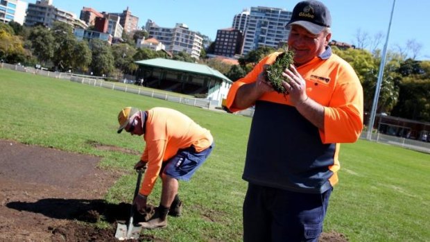 Joe Leo inspects the turf while Dave Higgins digs it up at Reg Bartley Oval in Rushcutters Bay. 