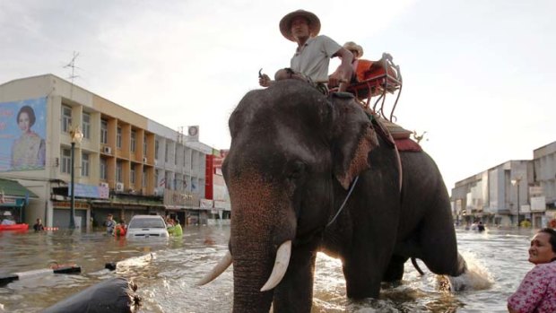 An elephant wades through floodwaters in Thailand's hard-hit Ayutthaya province as it helps move people and their belongings to higher ground.
