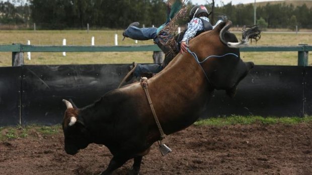 Justin Robards gets air on a property near Singleton, NSW. 