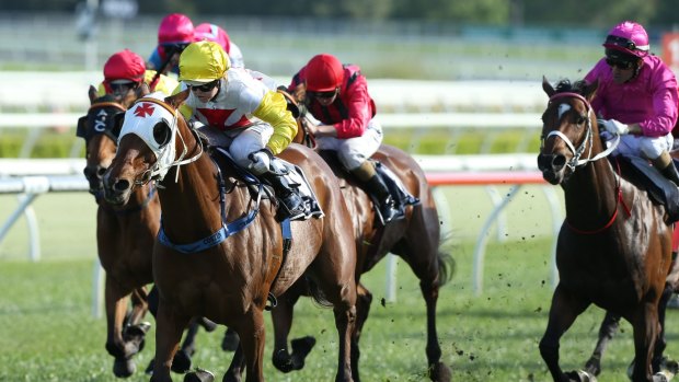 Cricket score odds: Winona Costin and Casino Dancer take out the Angst Stakes.