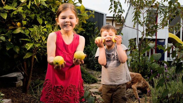 Zara Alcock, 6, and her brother Henry, 3, in their garden.