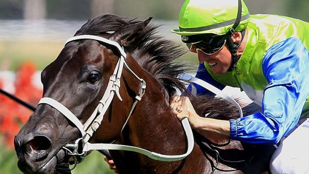 Cakewalk: Calming Influence, ridden by Nash Rawiller, wins the fifth race at Rosehill on Saturday.