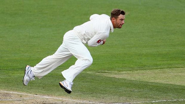 Gloves are off: Keeper Matthew Wade turns bowler in an attempt to eke out a wicket for Michael Clarke.